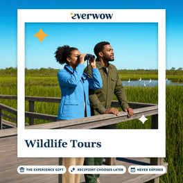 Everwow Wildlife Tours experience gift photo in a frame, birdwatching on a boardwalk