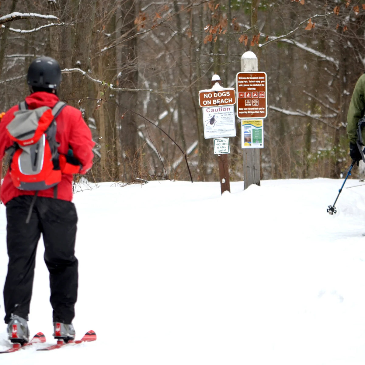 Cross-country skier moving along a snowy forest trail on a bright winter day