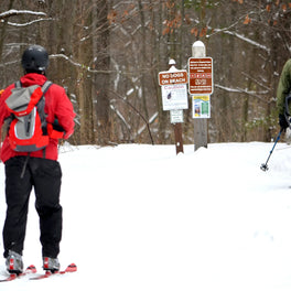 Cross-country skier moving along a snowy forest trail on a bright winter day