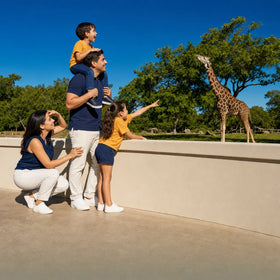 Zoo Visit Collection